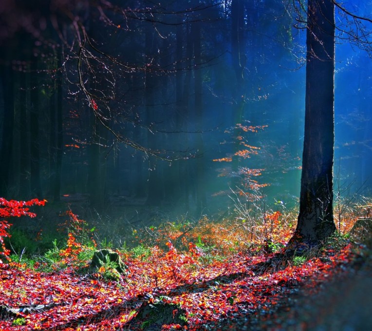 %ce%b1%ce%b1%ce%b1-%ce%b2%cf%81%ce%bf%cf%87